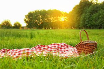 Picnic blanket and basket on grass in park - obrazy, fototapety, plakaty
