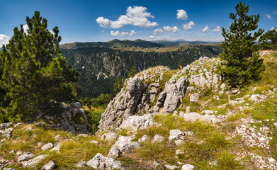 Summer Tara Canyon in mountain Durmitor National Park, Montenegro