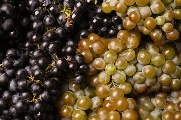 Fresh ripe juicy grapes as background, closeup