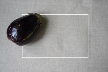Trendy ugly organic eggplant on grey table, with copy space with white frame