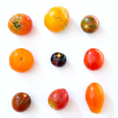 Nine multicolored tomatoes in the form of a square on a white background.