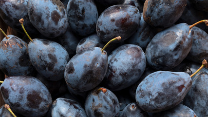 Close up of ripe plums
