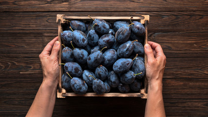 Woman holds a wooden crate with plums in her hands