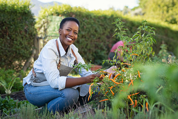 Satisfied woman working at vegetable garden © Rido
