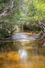 Beautiful creek near Kuranda in Tropical North Queensland, Australia