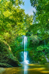Waterfall surrounded by greenery. Acquacaduta. Friuli, Italy