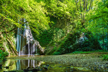 Plakat Waterfall surrounded by greenery. Acquacaduta. Friuli, Italy