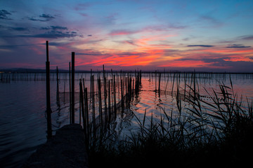 Atardecer en la Albufera de Valencia