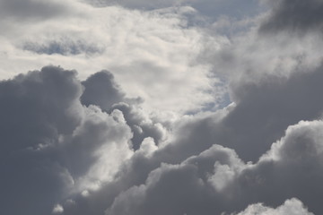 Obraz premium 台風の雲