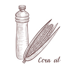 vector drawing corn oil