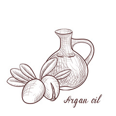 vector drawing argan oil