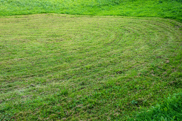 abstract background of cut grass with beautiful curved mooving lines