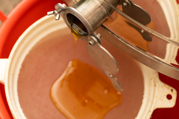 Fresh bee honey from honeycomb