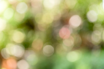 Obraz premium Green bokeh on nature defocus art abstract blur background.