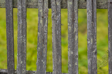 Old wooden fence. Background with old wood. Vintage wooden fence, close up, texture. Garden wall wood