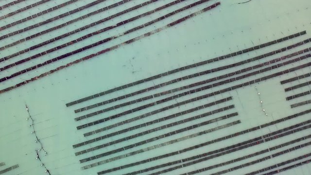 Birdview of Kim nursery on the west coast of Korea