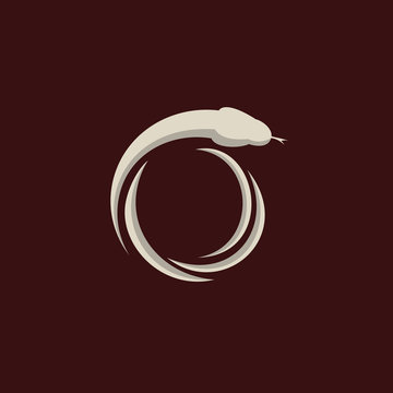 Snake Recycle Animal Reptile Icon Logo Design Template Element Vector