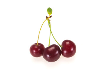 Sweet ripe cherry with leaves