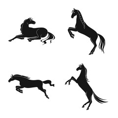 Fototapeta na wymiar Vector design of fauna and mare icon. Set of fauna and stallion stock vector illustration.