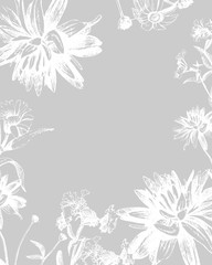 Vector graphic drawing of wild flowers, card with space for text.