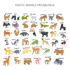 Animals clipart bundle vector