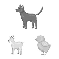 Isolated object of homestead and agriculture icon. Set of homestead and kitchen stock symbol for web.