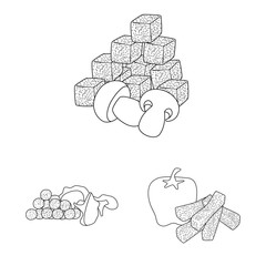 Isolated object of taste and crunchy icon. Set of taste and cooking stock symbol for web.