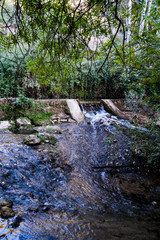 Landscape of a river in summer