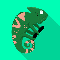 Isolated object of green and lizard icon. Set of green and quirky stock symbol for web.