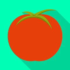 Vector illustration of tomato and round logo. Collection of tomato and juicy stock symbol for web.