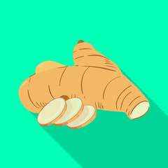 Vector illustration of ginger and root symbol. Set of ginger and yellow vector icon for stock.