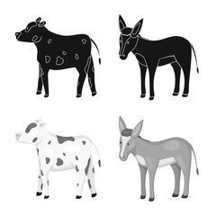 Vector design of breeding and kitchen icon. Collection of breeding and organic vector icon for stock.