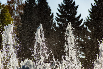 Background with water jets of fountain in the park