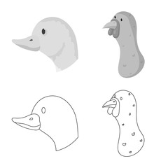 Vector illustration of agriculture and breeding logo. Collection of agriculture and organic stock symbol for web.