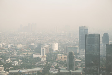 View of a modern city skyline covered in a dense smog and pollution.