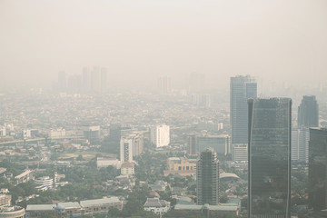 Fototapeta premium View of a modern city skyline covered in a dense smog and pollution.