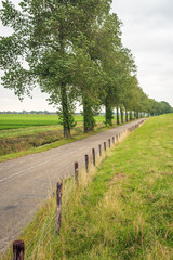 Fototapeta na wymiar Long asphalt road at the foot of a Dutch dike