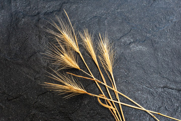 Golden grass on a black stone. Spikelet. Close-up.