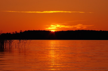 The sunset over the water has almost hidden behind the trees on the horizon.