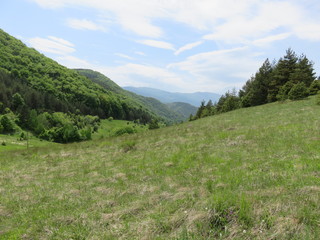 Mauntain Stolovi Serbia pasture on elevation with distant mauntain range