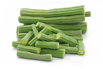 moringa oleifera isolated on white background