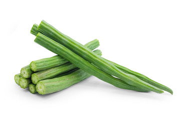 moringa oleifera isolated on white background