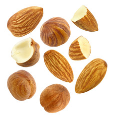 Almond and hazelnut nuts whole and broken parts falling, soaring, hanging, flying isolated on white background with clipping path. Set of parts. Full depth of field.