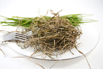 grass on a white tare, with cutlery