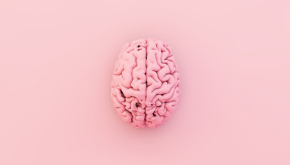 minimal pink brain