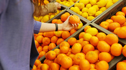 Female hand chooses citrus oranges and lemons in the store