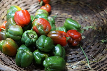 essen früchte auf einem markt in auf madagaskar in afrika 