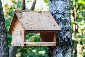 Wooden bird feeder on a tree. Close-up.