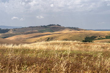 Summer landscape in Tuscany near Volterra