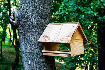 Wooden bird feeder on a tree. Close-up.